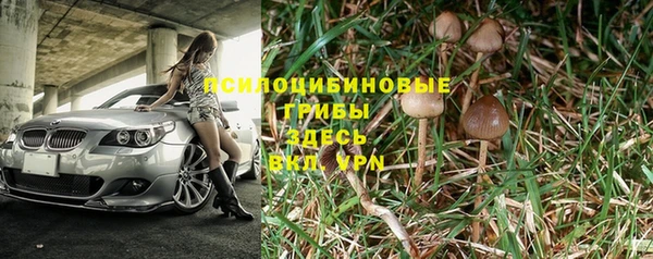 марки nbome Богородицк