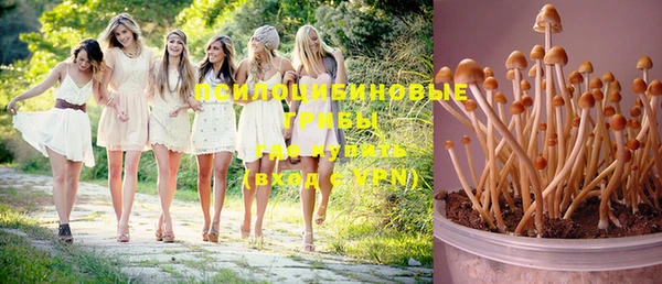 марки nbome Богородицк