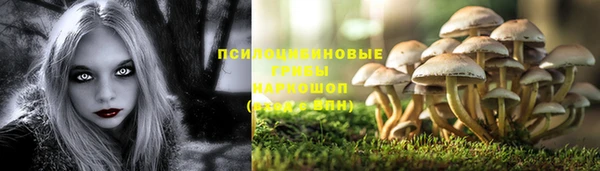 наркотики Богородск