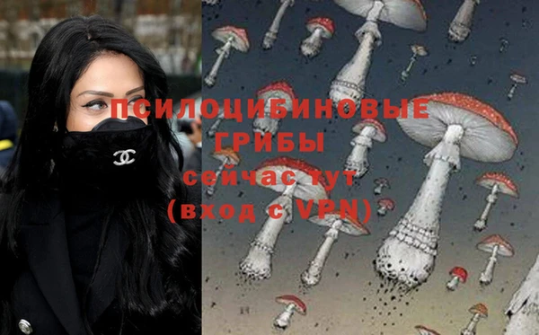 марки nbome Богородицк