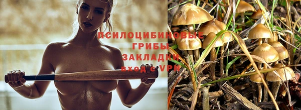 марки nbome Богородицк